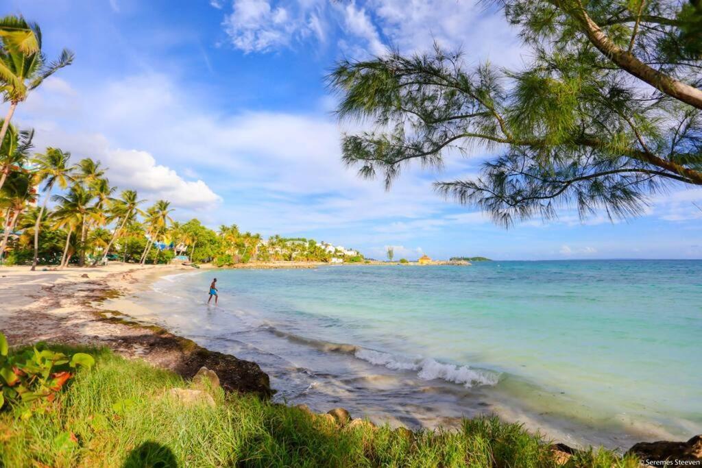 Paradis Studio & Plage A 1 Min Ле-Гозье Экстерьер фото